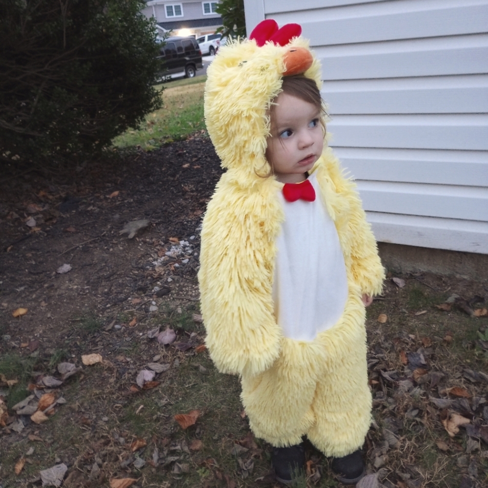 Toddler chicken rooster costume size 18-24 month